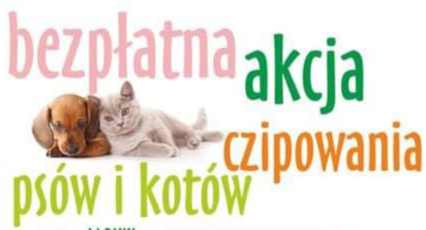 Plakat promujący wydarzenie 