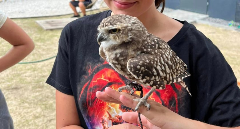 Na zdjęciu jeden z ptaków, które można zobaczyć w mini ZOO - fot. Facebook