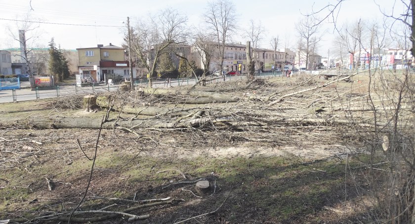 Zdjęcie: Skwer przy ul. Sierakowskiego po wycince. 