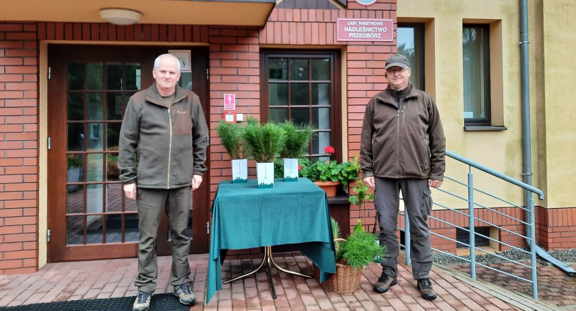 Zdjęcie: Nadleśnictwo Przedbórz. 