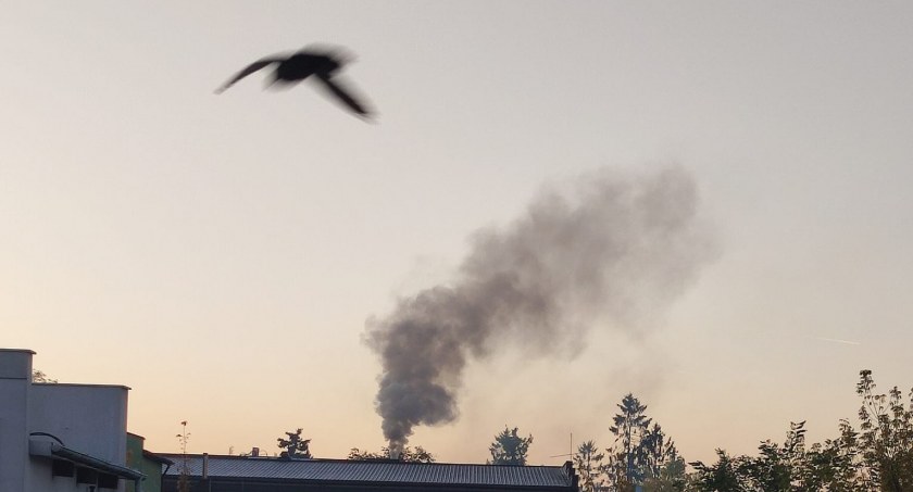 Na zdjęciu dym z komina jednego z zakładów w Radomsku - fot. Paweł Grzywacz/Facebook