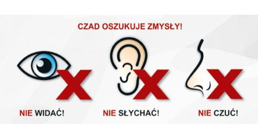 Grafika edukacyjna strony rządowej