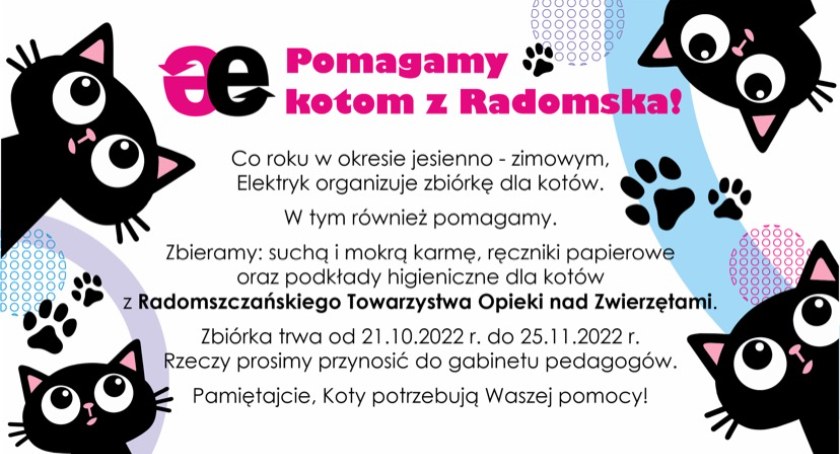 Na zdjęciu grafika promująca akcję pomocy kotom
