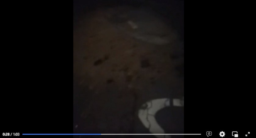 Na zdjęciu zrzut ekranu z filmu nagranego przez Czytelniczkę