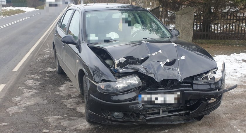 Na zdjęciu swat leon, który brał udział w kolizji - fot. KPP Radomsko 