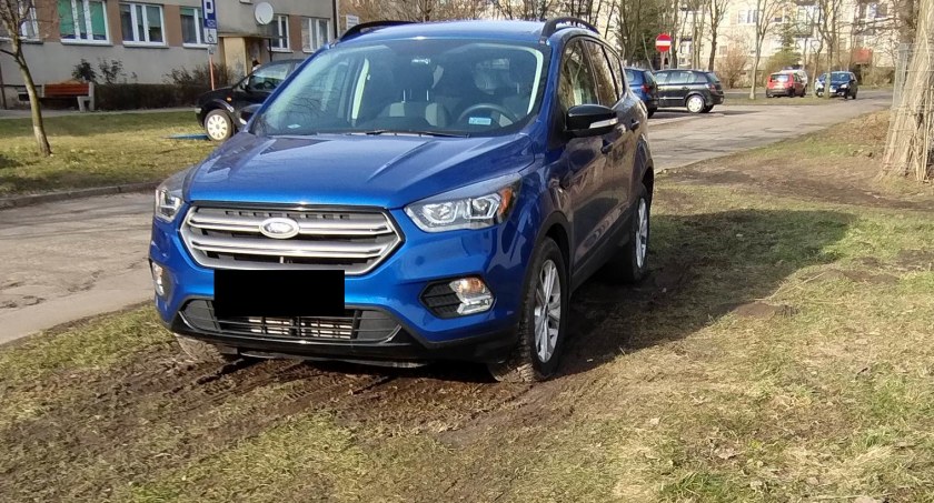 Na zdjęciu samochód zaparkowany na trawniku