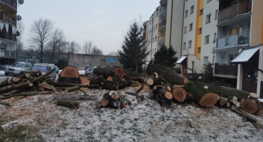 Na zdjęciu: Wycinka drzew na osiedlu Dwunastka