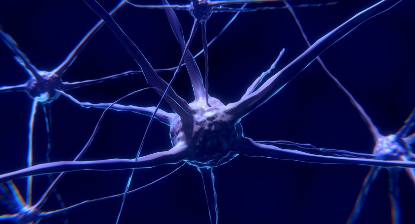 Na zdjęciu neurony