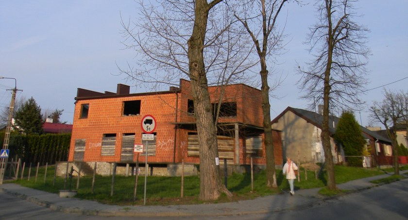 Na zdjęciu topola, która zostanie poddana pielęgnacji