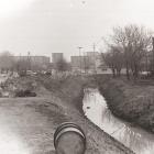 zdjęcie nr 50