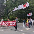 zdjęcie nr 16