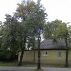 Fotka nr 2 z 9