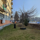 zdjęcie nr 8