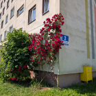 zdjęcie nr 15