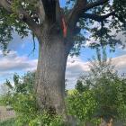 Fotka nr 5 z 7