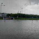 zdjęcie nr 8