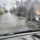zdjęcie nr 10