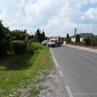 Fotka nr 5 z 6