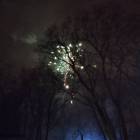 Fotka nr 0 z 14
