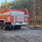 Fotka nr 5 z 7