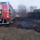 Fotka nr 2 z 16