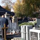 zdjęcie nr 99