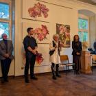 zdjęcie nr 15