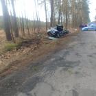zdjęcie nr 8