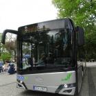 zdjęcie nr 14
