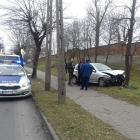 Fotka nr 1 z 5