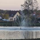 Fotka nr 5 z 13