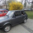 zdjęcie nr 51