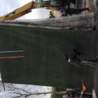 Fotka nr 5 z 10
