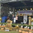 zdjęcie nr 17
