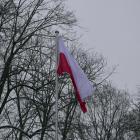 zdjęcie nr 48