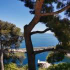 zdjęcie nr 55