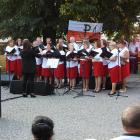 zdjęcie nr 157