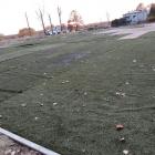 Fotka nr 4 z 10