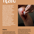 zdjęcie nr 45