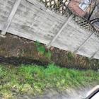 zdjęcie nr 11