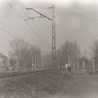 zdjęcie nr 57