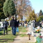 zdjęcie nr 40