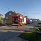 Fotka nr 1 z 4