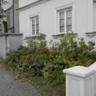 zdjęcie nr 8