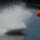 Fotka nr 2 z 16