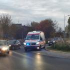 zdjęcie nr 79