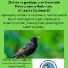 zdjęcie nr 1