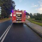 Fotka nr 1 z 5