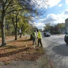 zdjęcie nr 43