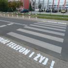 Fotka nr 1 z 3